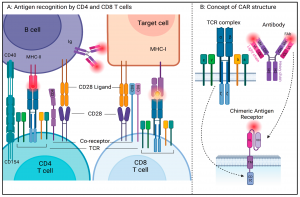 Read more about the article Gilternib/Gilteritinib  : Unlock the Power of Targeted Therapy