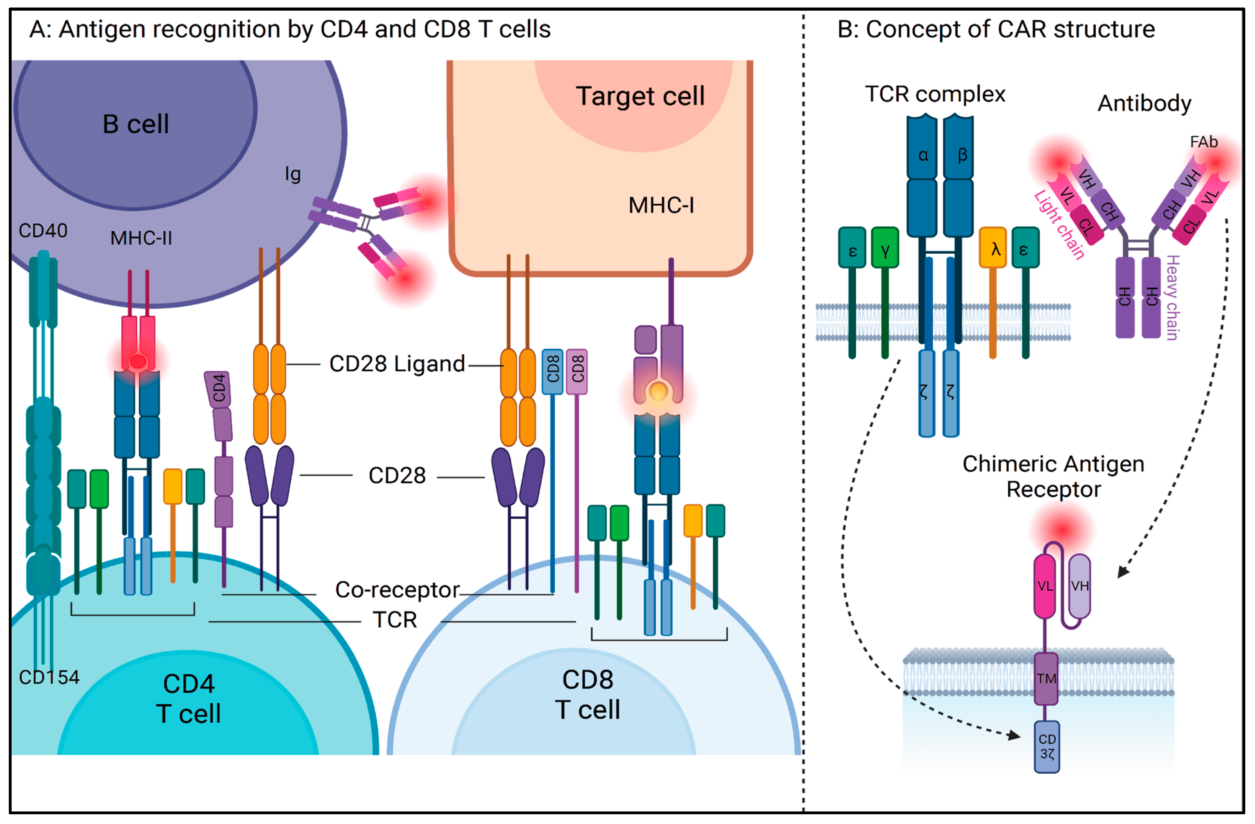 You are currently viewing Gilternib/Gilteritinib  : Unlock the Power of Targeted Therapy